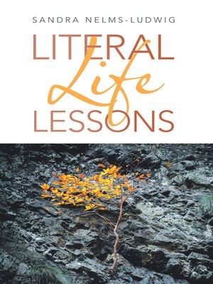 cover image of Literal Life Lessons